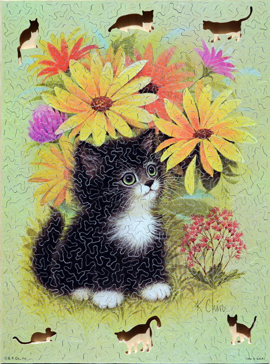 puzzle851_no_figurals