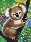 koala