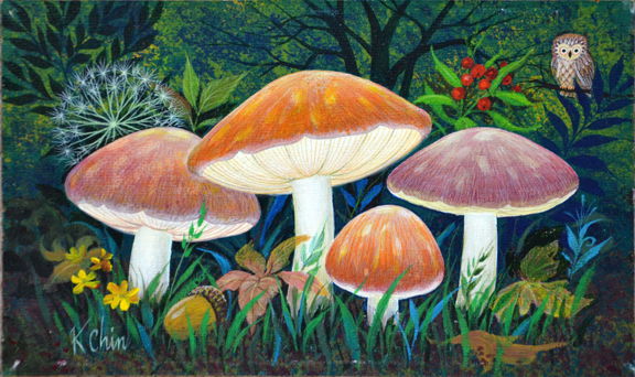 mushrooms