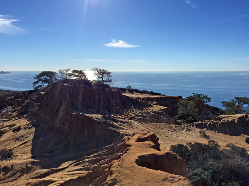 torrey_pines